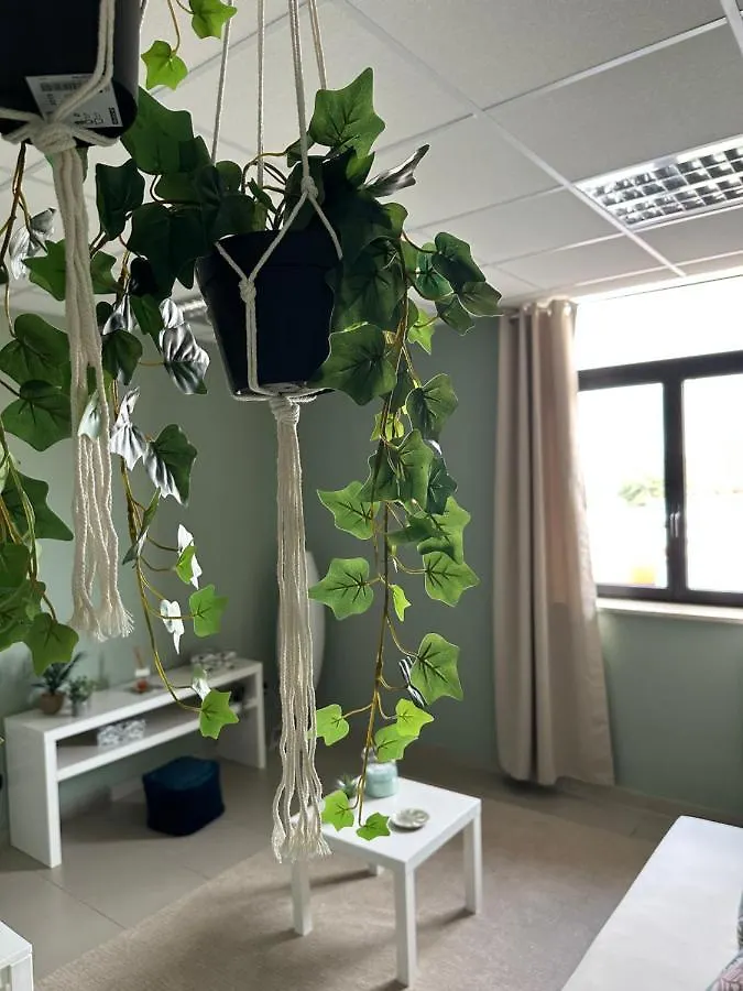 Bed & Breakfast Botanical Suite Bari
